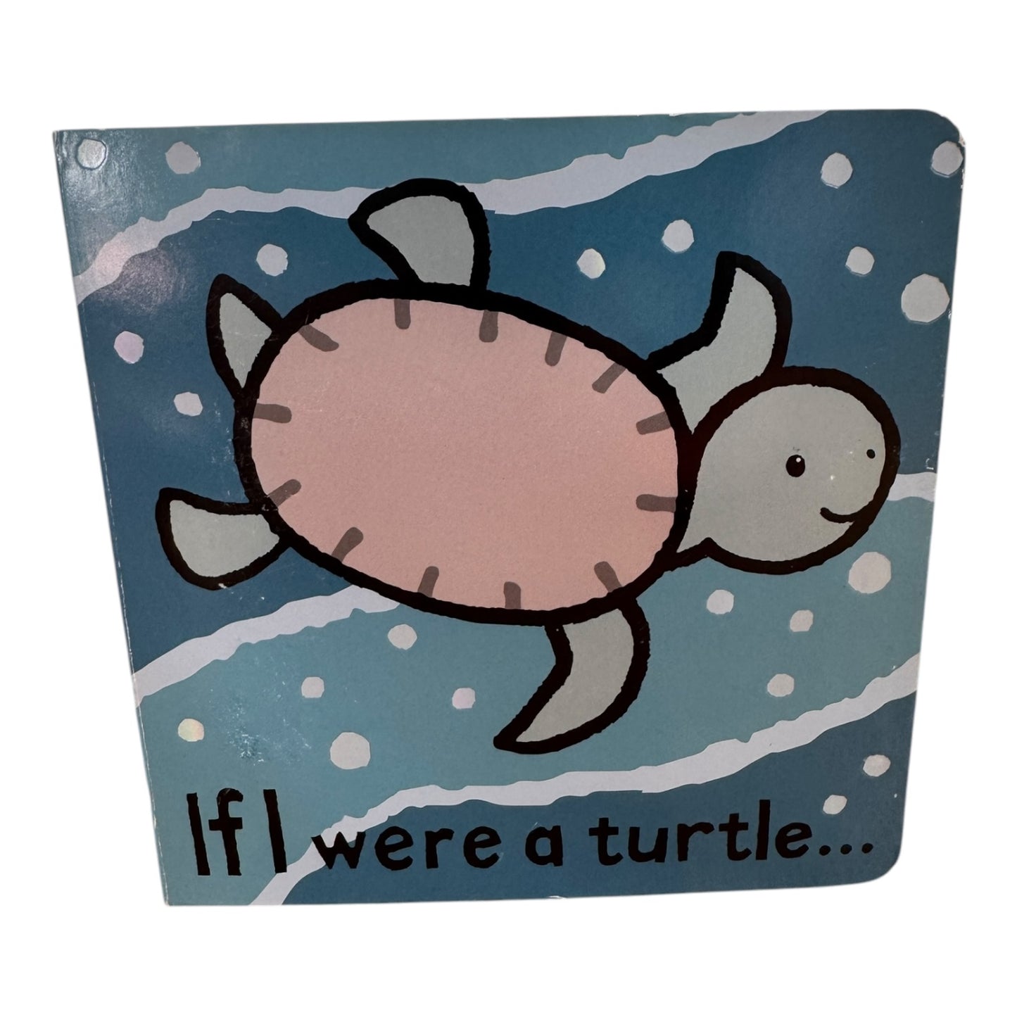 If I Were a Turtle